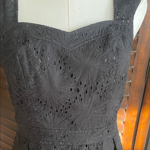 Adrianna Papell Elegant Black Eyelet Dress Lined NWOT Size 4 Fit and Flare - Picture 5 of 10